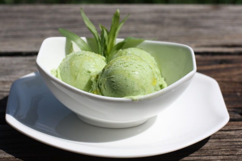 Olive Oil Ice Cream with Fleur de Sel