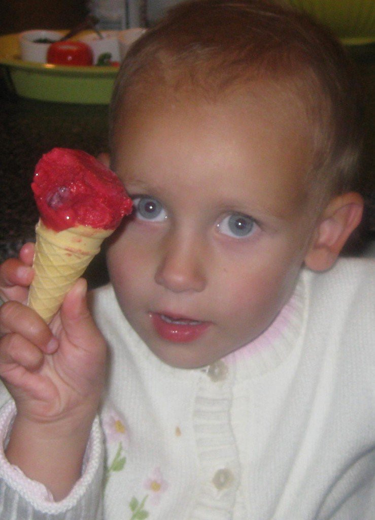 Raspberry Sorbet (Ice Cream) - A Canadian Foodie