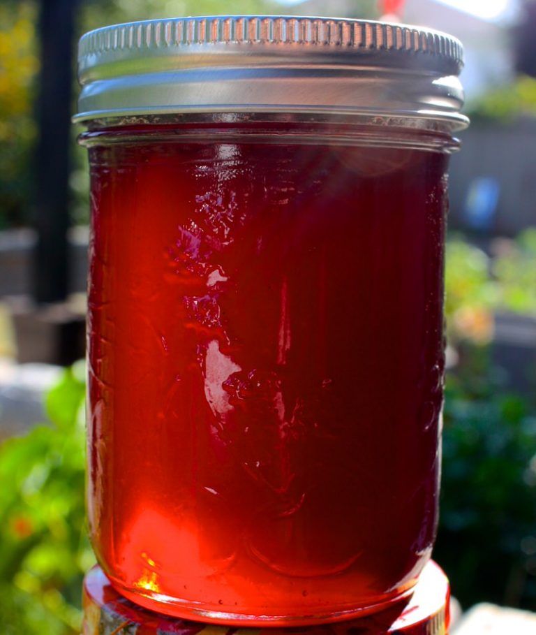 A Canadian Foodie Original: Sour or Tart Preserved or Dried Evans Cherries