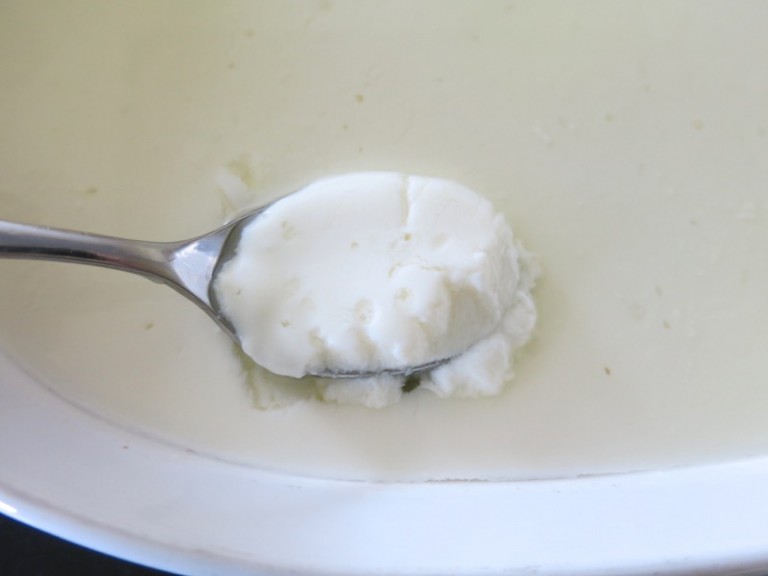 Homemade Quark Cheese